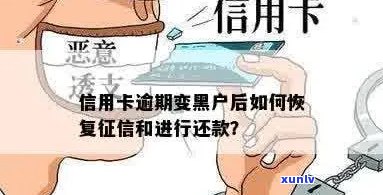 信用卡逾期变黑户怎么恢复：恢复正常、使用及信誉修复全攻略