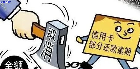 信用卡逾期导致黑户身份，如何挽回信用并恢复正常？