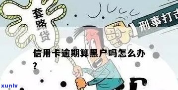 信用卡逾期多少变黑户