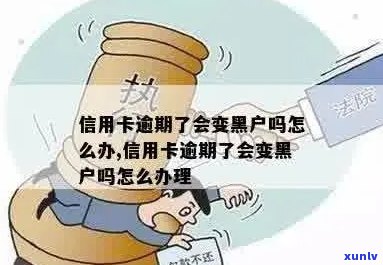 信用卡逾期多少变黑户