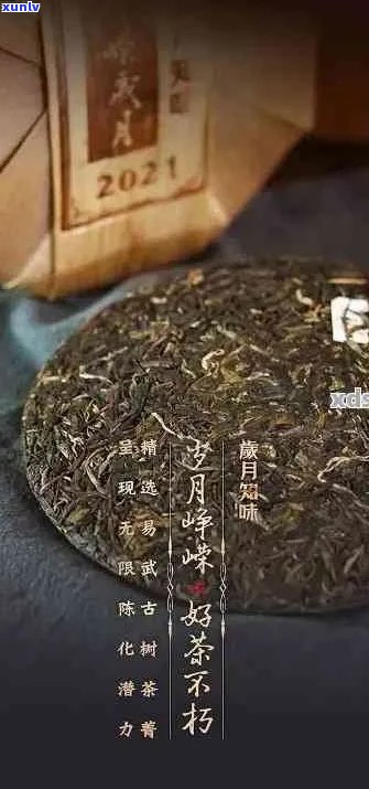 岁月知味月韵茶香：品味人生，领略茶香，了解价格与购买指南