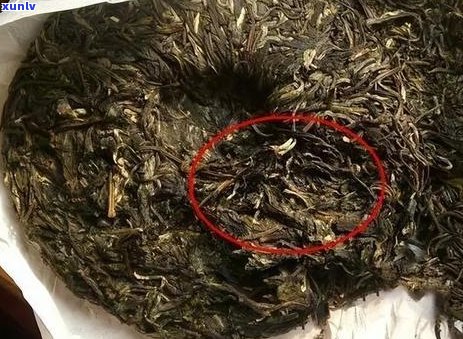 普洱茶暴晒后如何挽救？尝试这些 *** 恢复原有品质