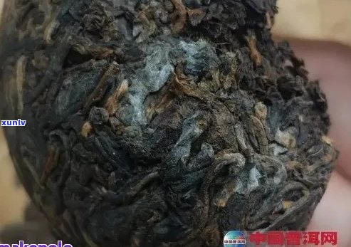 普洱茶膏为什么挂白霜？和黑霜？正常吗？