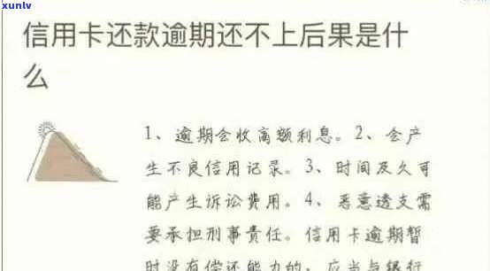 浦发信用卡逾期12个月：如何规划还款并避免影响信用评分