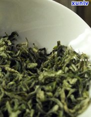 从初学者到专家：熟普洱茶饼的冲泡 *** 与技巧全面解析