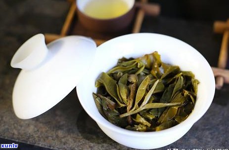 从初学者到专家：熟普洱茶饼的冲泡 *** 与技巧全面解析