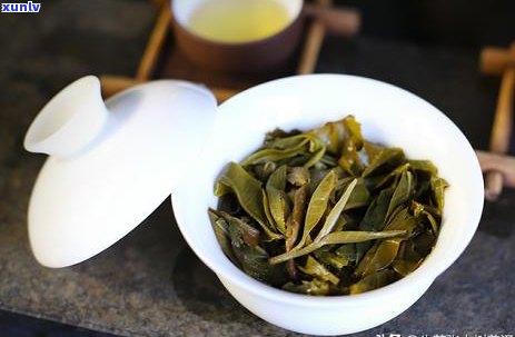 从初学者到专家：熟普洱茶饼的冲泡 *** 与技巧全面解析