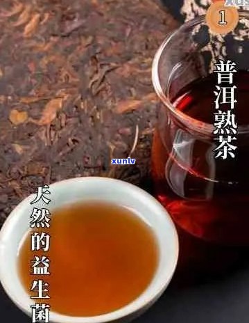 新普洱茶饮用过量对女性是否会引起头痛？