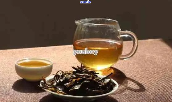 人瘦可以喝普洱茶么