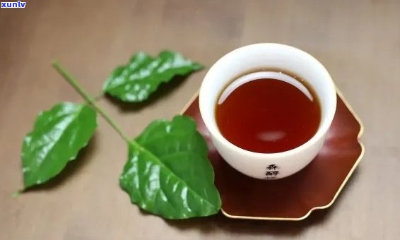 秋天的普洱茶叫什么名字好听：品质与口感并存的秋佳饮