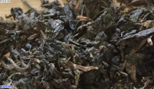 普洱茶带发味道？普洱茶是否存在馊味或发霉味？