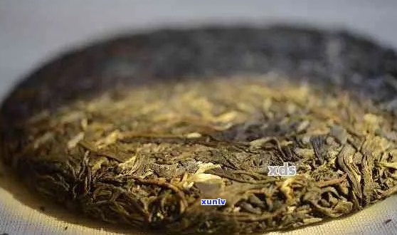 普洱茶的发酵过程及其对茶叶品质和功效的影响