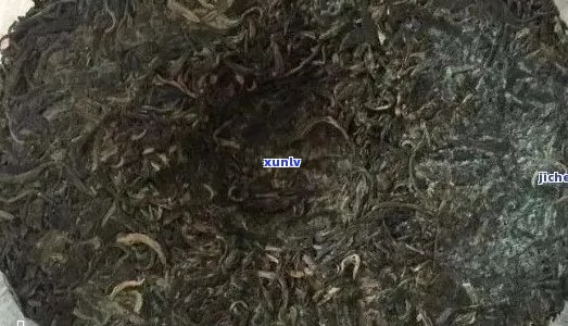 普洱茶是不是带发的