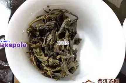 全面解析普洱茶小白菜：品种特点、 ***  *** 与健益处