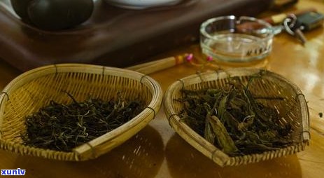 普洱茶自然地理简介：探讨普洱茶产地的自然环境及特点。