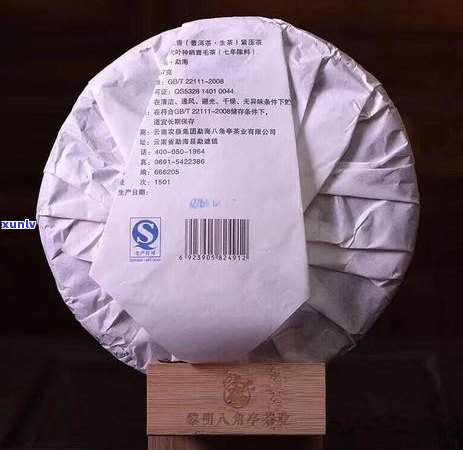 普洱茶搭配指南：如何选择合适的饮品来提升口感？