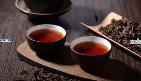 普洱茶搭配指南：如何选择搭档以提升口感