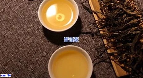 新 普洱茶品尝体验：喝后效果如何？是否有助于健、减肥和消化？