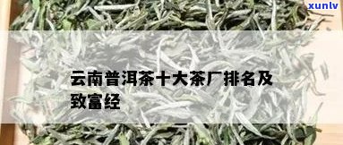 云南普洱茶六大茶厂排名及十大茶厂完整列表