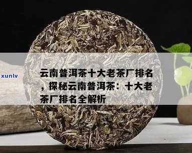 云南普洱茶六大茶厂排名及十大茶厂完整列表