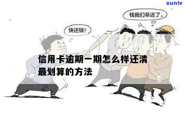 信用卡逾期问题解决：如何选择适合您的信用卡？