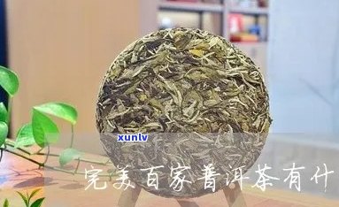 完美百家普洱茶好吗值得买吗？现在购买怎么样？