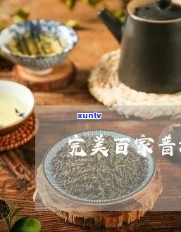 完美百家普洱茶好吗