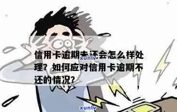 逾期不还信用卡的后果及其应对策略