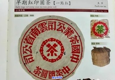 天月普洱茶博物馆官网介绍玖拾年代红印甲级沱与天月牌普洱茶