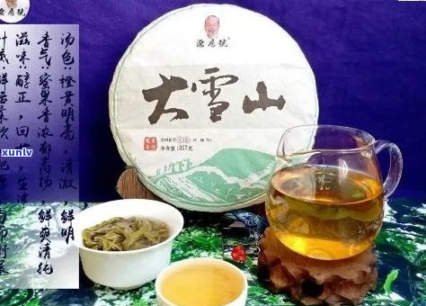 大雪山普洱茶的产地有哪些？它们之间有什么区别？