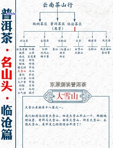 '大雪山普洱茶产区及价位——了解其产地和种类'