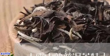 大雪山普洱茶品种分类及其特色介绍