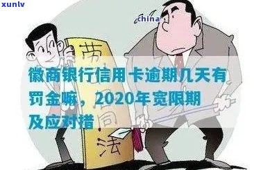 2020年徽商银行信用卡宽限期长政策详解，如何申请以及可能的影响