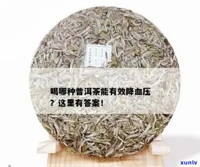 普洱茶对高血压的降压作用及可能的风险解析：一篇全面指南