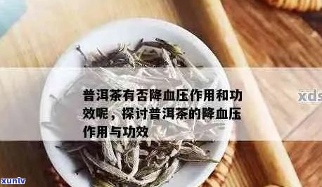 科学解析：普洱茶对高血压患者的降压效果及影响因素探讨