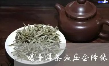 普洱茶可以降血压么