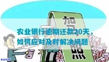 农行信用卡逾期解决 *** 与下期账单查询全攻略，让您轻松应对逾期还款问题