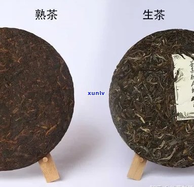 普洱茶分生普和熟普有何区别？