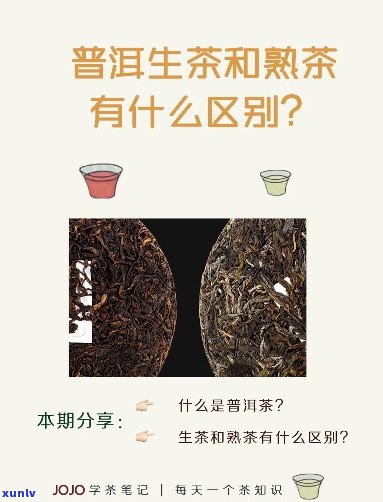 普洱茶分生普和熟普有何区别？