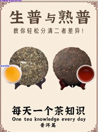 普洱茶：生普与熟普的分类及其区别