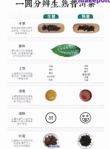 新 '深入剖析普洱茶的两大类型：生普洱与熟普洱'