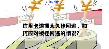 信用卡逾期：如何避免成为网逃，专家支招