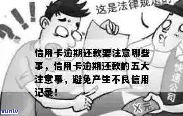 51信用贷款未还款后果详解：逾期、罚息、影响及如何规划还款计划