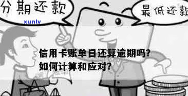 从信用卡账单日到还款日的4天，如何避免逾期并了解逾期后果