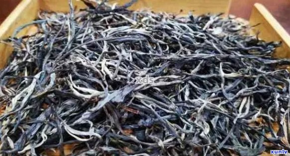 探秘哀牢山野生普洱茶：品种特点、 *** 工艺与品鉴 *** 一网打尽