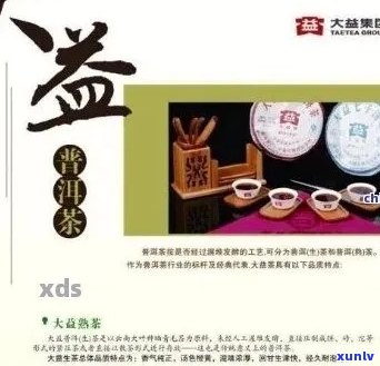 大益普洱茶公司的领导者是谁，他们的企业文化和创新策略是什么？