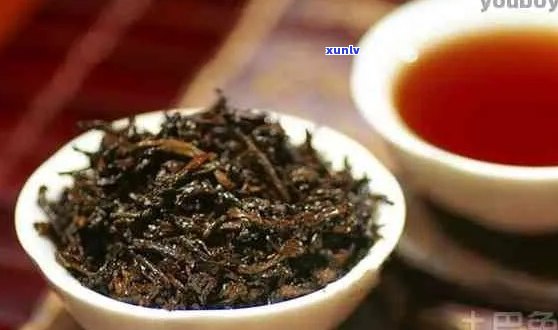 普洱乌茶的功效、作用及禁忌：乌普洱茶与乌泡饮的完整体验