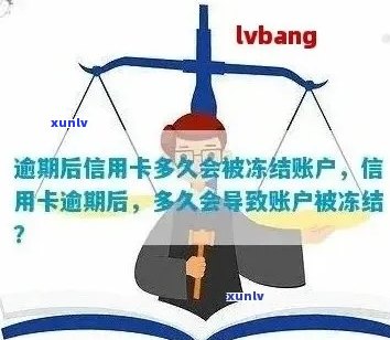 信用卡逾期后，是否会冻结账户？如何避免逾期对信用记录的影响？