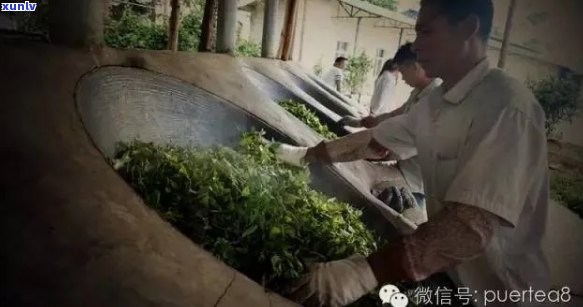 普洱茶杀青的目的和 *** 以及适宜的程度解析