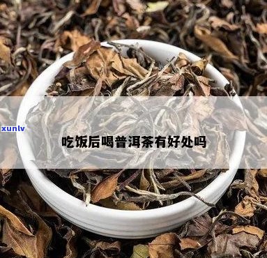 吃完了能喝普洱茶吗